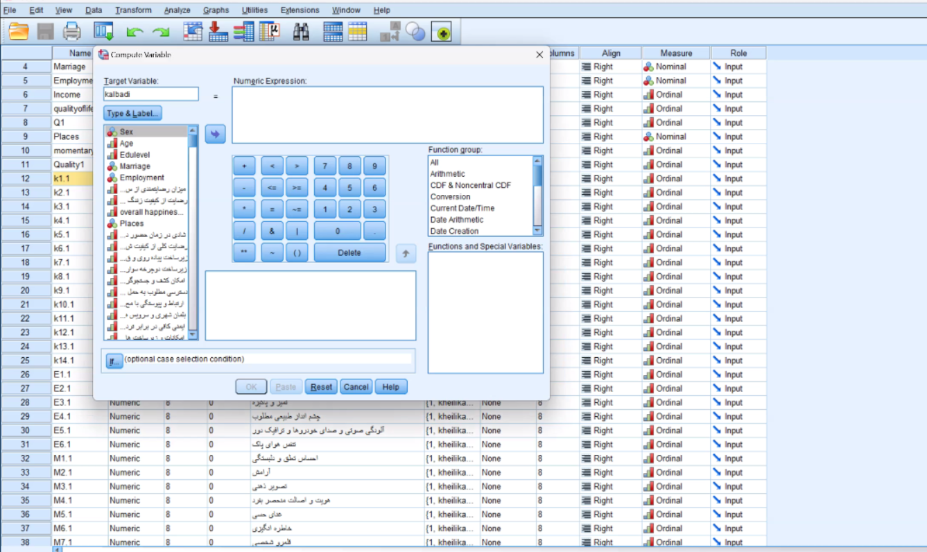 دوره آموزش نرم‌افزار SPSS ویژه معماران و شهرسازان